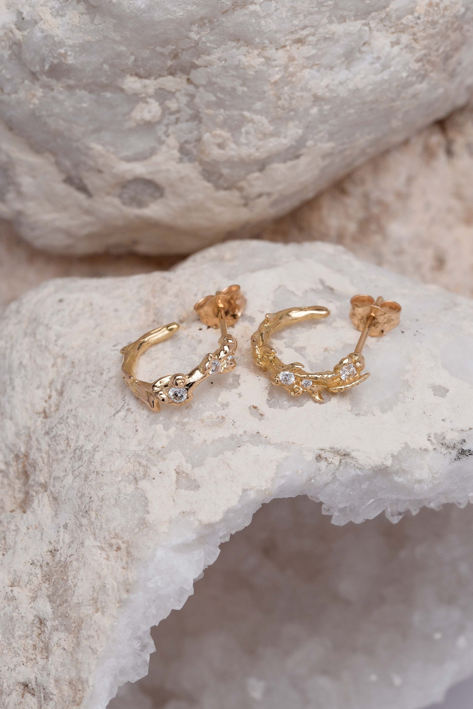 MÛRES SAUVAGES HOOPS