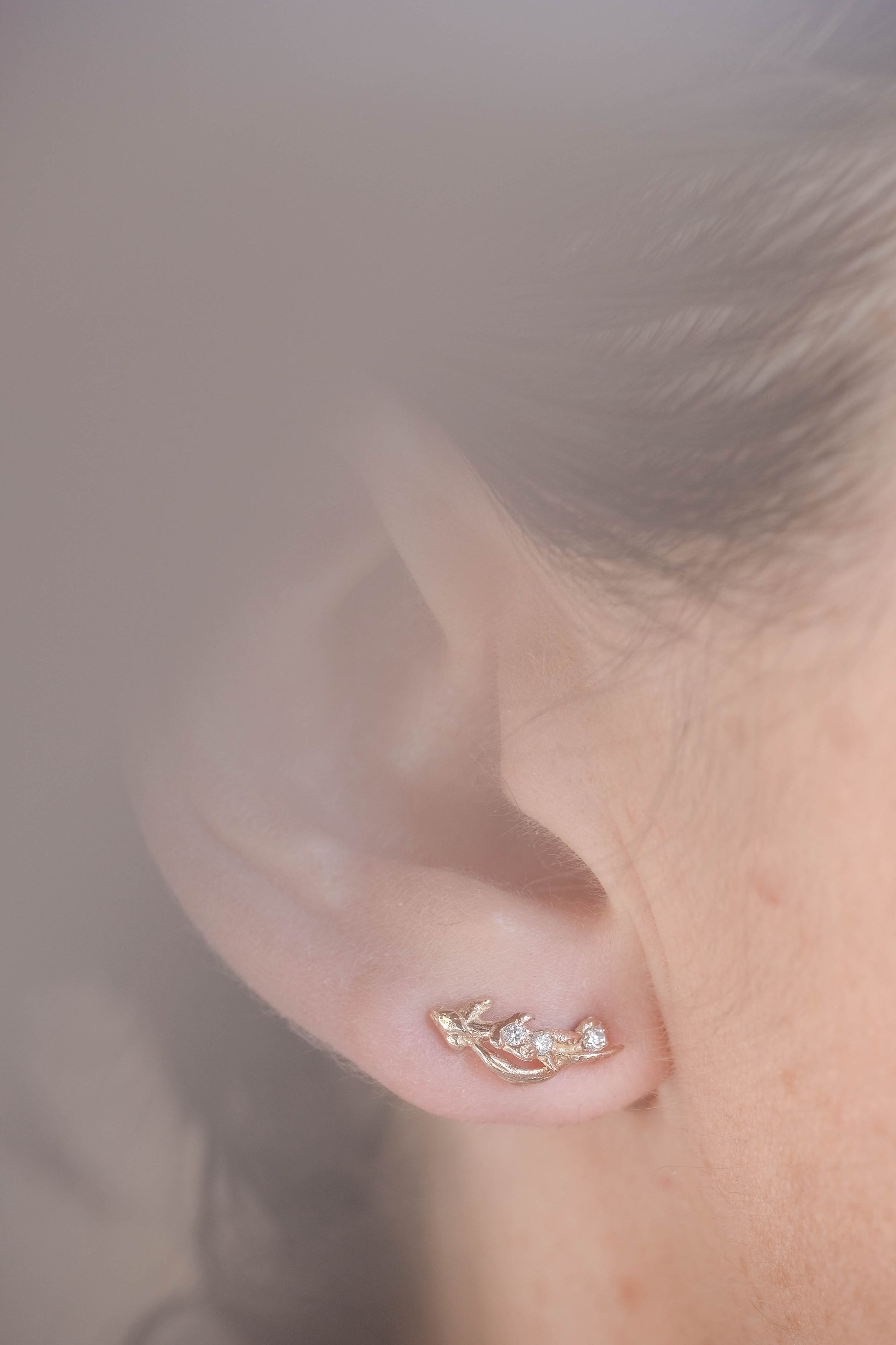 MÛRES SAUVAGES STUDS